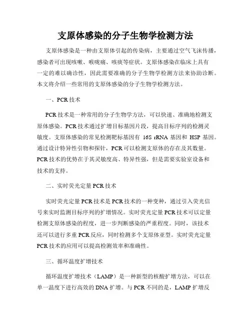 支原体感染的分子生物学检测方法
