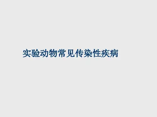 一、概述 实验动物传染病的危害