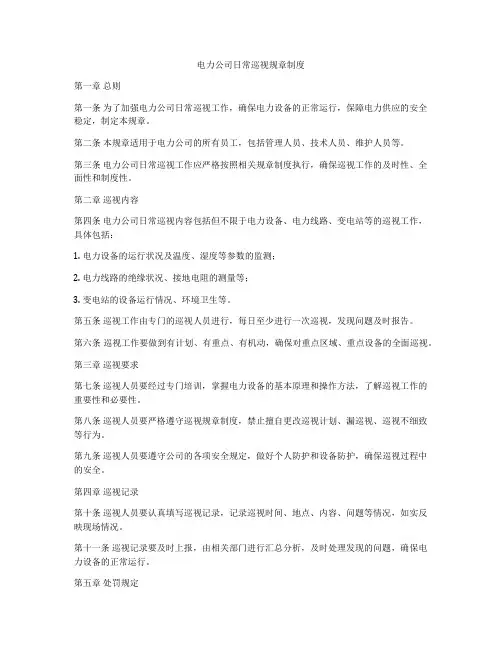 电力公司日常巡视规章制度