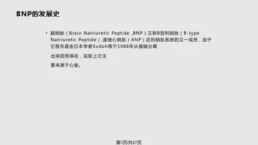 脑钠肽PPT学习课件PPT课件