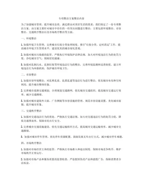 专项整治方案整治内容