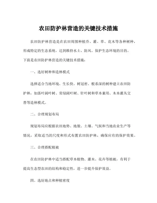 农田防护林营造的关键技术措施