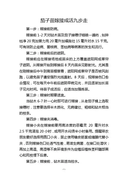 茄子苗嫁接成活九步走