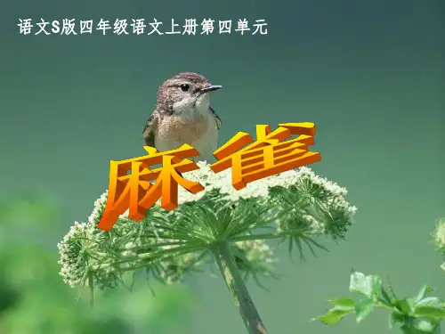 语文S版四年级语文上册课件麻雀