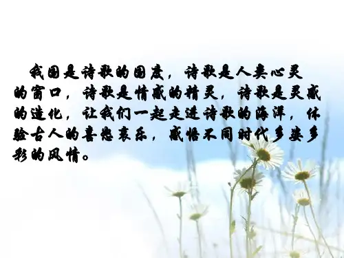 岳麓版高中历史必修三第二单元第9课《诗歌与小说》优质课件(共37张PPT)