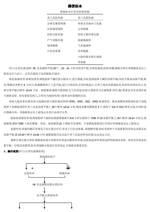 医学检验-粪便标本处理