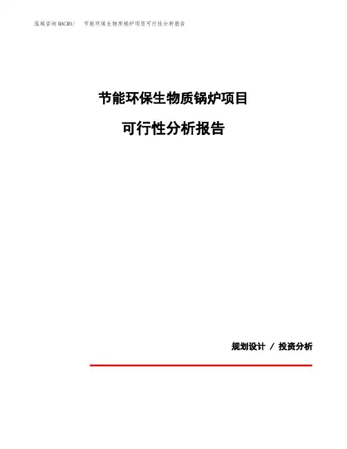 节能环保生物质锅炉项目可行性分析报告(模板参考范文)