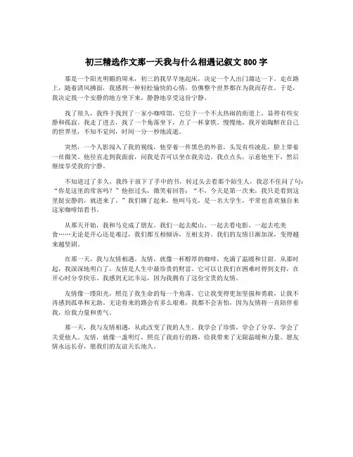 初三精选作文那一天我与什么相遇记叙文800字