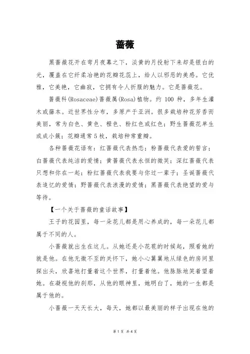 蔷薇_高三作文