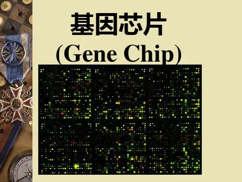 基因芯片讲义