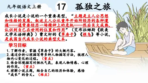 《孤独之旅》ppt课件