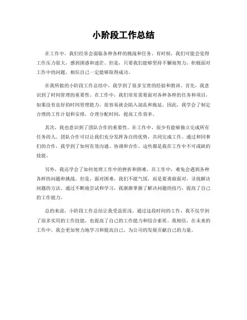 小阶段工作总结