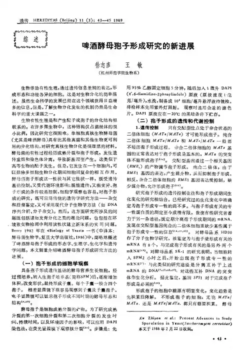 啤酒酵母抱子形成研究的新进展