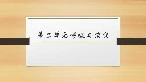 教科版四年级上册科学第二单元《呼吸与消化复习讲解》课件