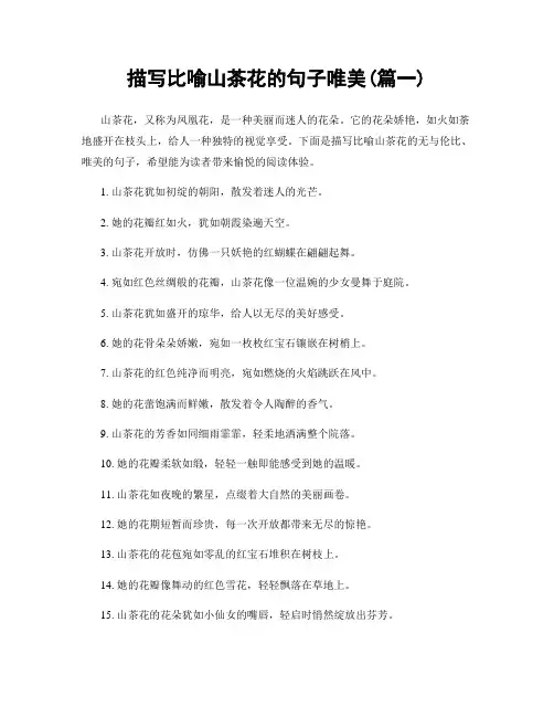 描写比喻山茶花的句子唯美(精选两篇)