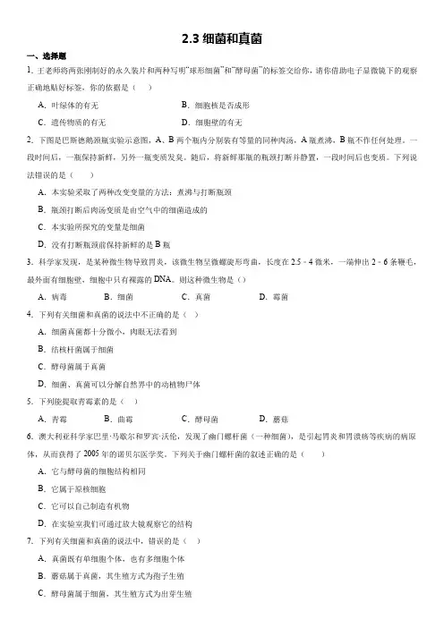 2.3细菌和真菌练习---华东师大版科学七年级上册(1)