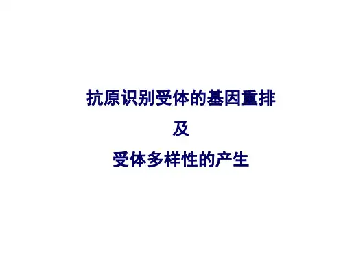 医学免疫学 抗原识别受体的基因重排及受体多样性的产生