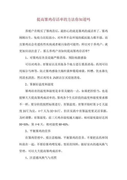 提高雏鸡存活率的方法你知道吗