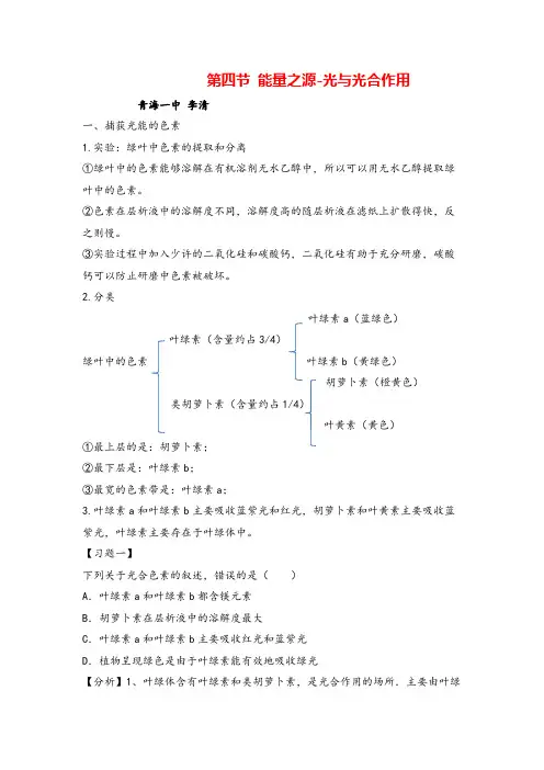 高中生物必修一第五章能量之源-光与光合作用专项复习
