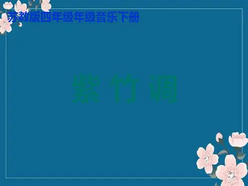 江南丝竹《紫竹调》