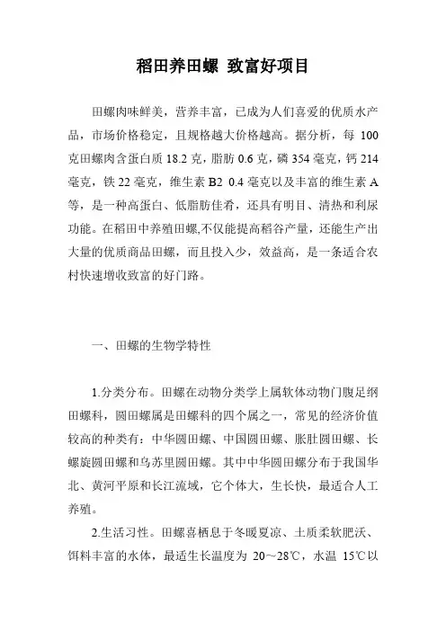 稻田养田螺 致富好项目