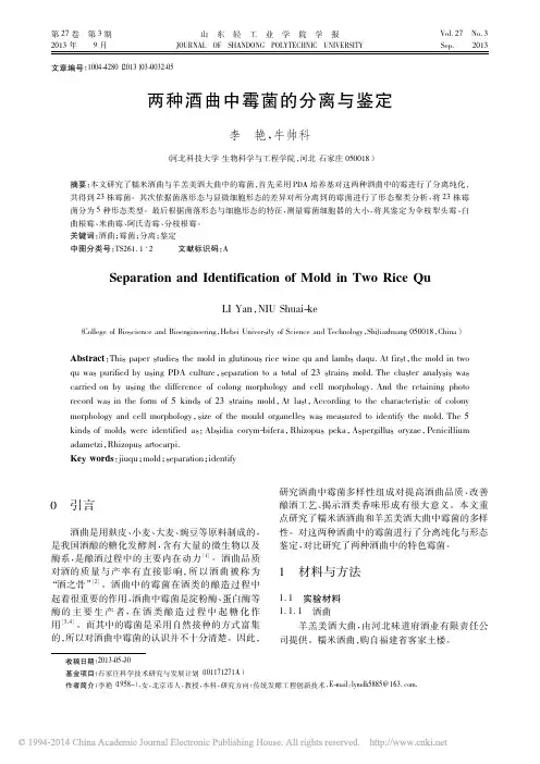 两种酒曲中霉菌的分离与鉴定_李艳