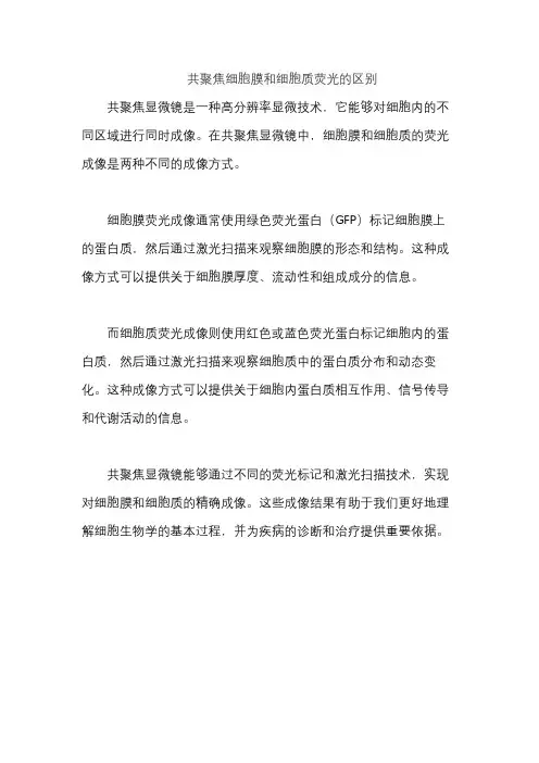 共聚焦细胞膜和细胞质荧光的区别