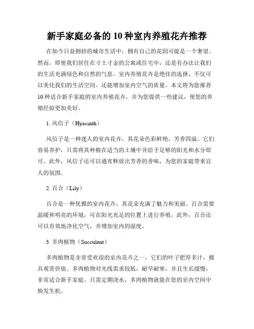 新手家庭必备的10种室内养殖花卉推荐