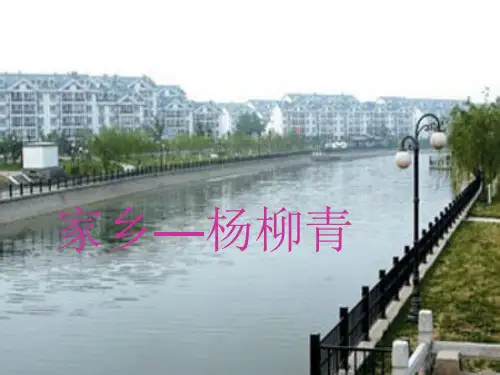 杨柳青