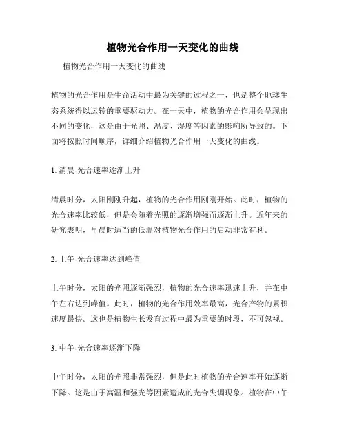 植物光合作用一天变化的曲线