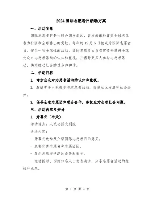 2024国际志愿者日活动方案