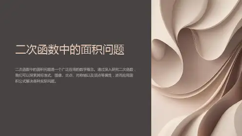 二次函数中的面积问题