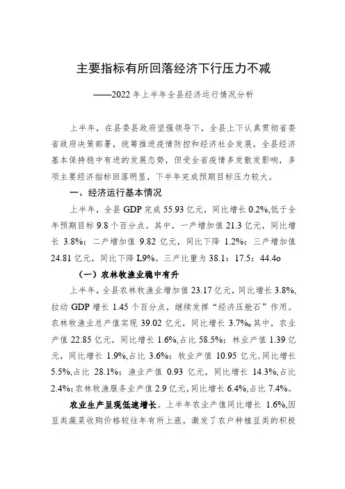 主要指标有所回落经济下行压力不减——2022年上半年全县经济运行情况分析