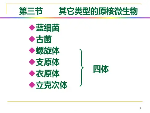 其它类型的原核微生物支原体衣原体立克次体螺旋体ppt课件