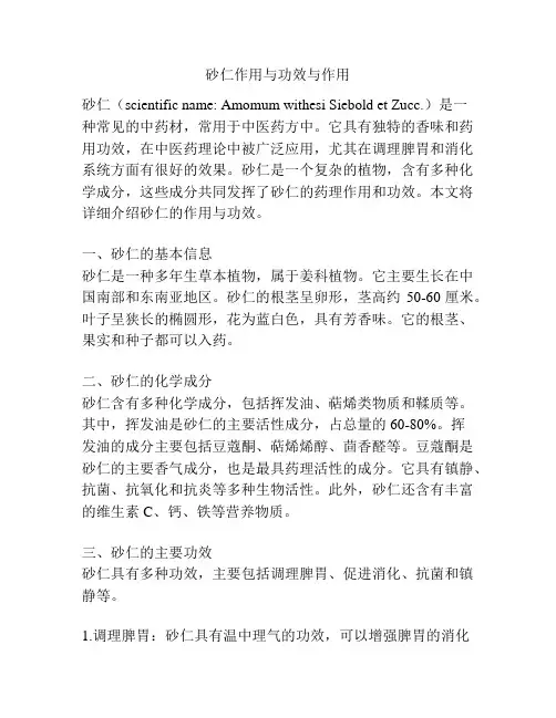 砂仁作用与功效与作用