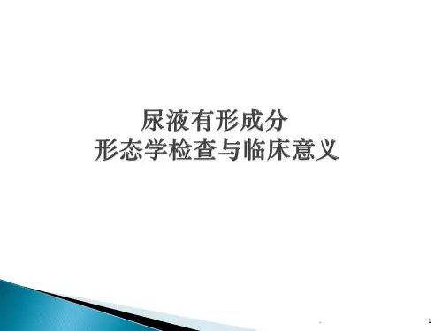 (精选课件)尿液有形成分形态学检查与临床意义PPT幻灯片
