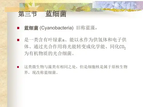 第七节 其他类型的原核微生物(5)