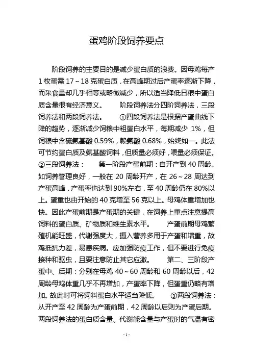 蛋鸡阶段饲养要点