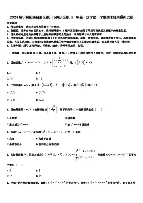 2024届宁夏回族自治区银川市兴庆区银川一中高一数学第一学期期末经典模拟试题含解析