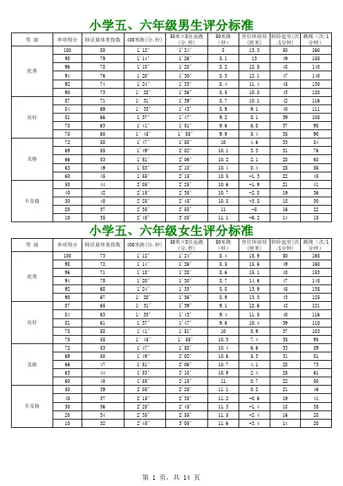 2013年《国家学生体质健康评分标准》
