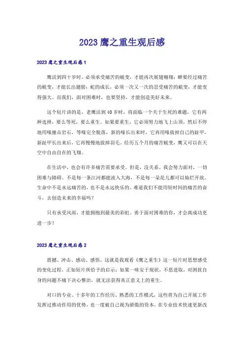 2023鹰之重生观后感