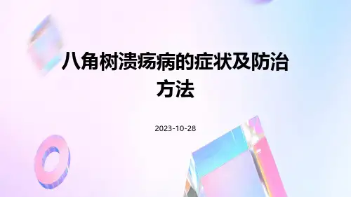 八角树溃疡病的症状及防治方法