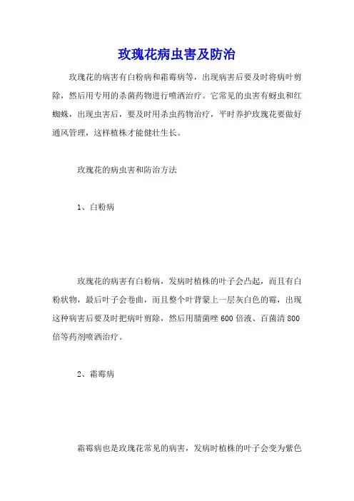 玫瑰花病虫害及防治