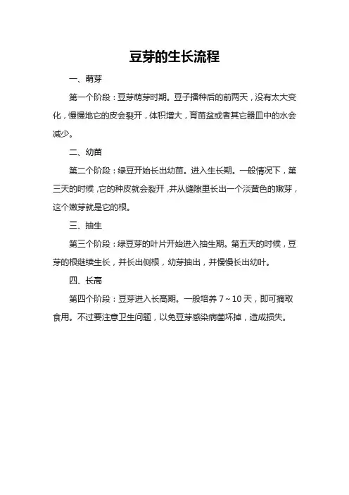 豆芽的生长流程