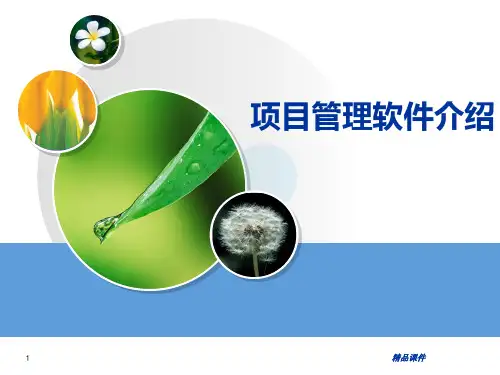 项目管理软件介绍项目管理PPT课件