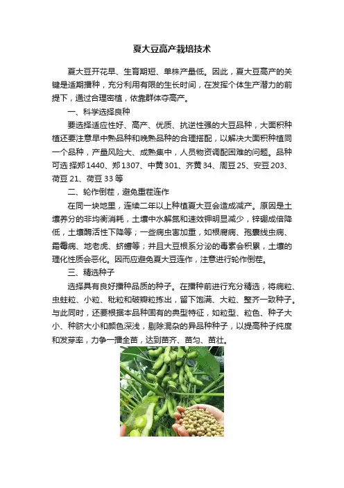 夏大豆高产栽培技术