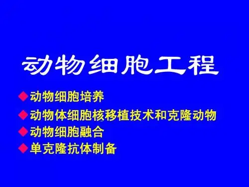 动物细胞工程