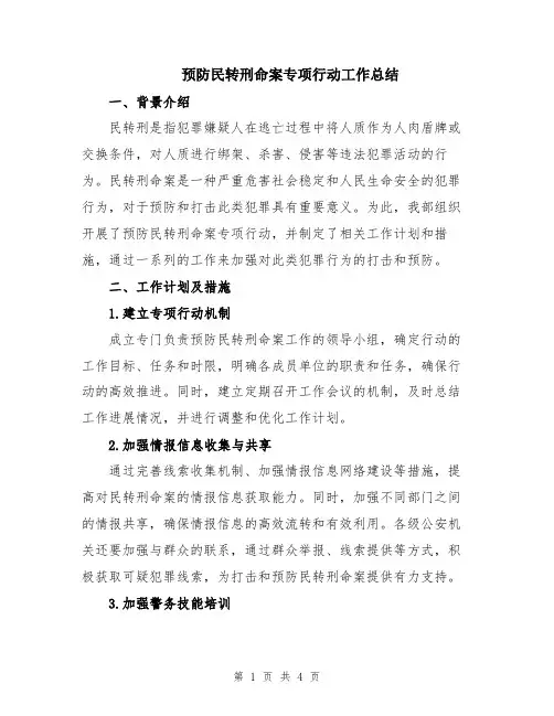 预防民转刑命案专项行动工作总结