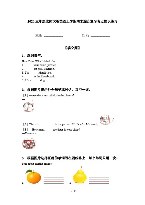 2024三年级北师大版英语上学期期末综合复习考点知识练习