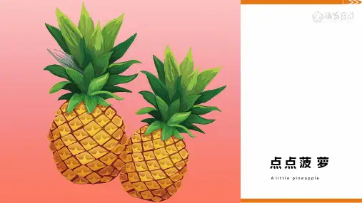 3岁-4岁 《点点菠萝》-美术课件 (2)
